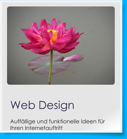 Web DesignAuffllige und funktionelle Ideen fr Ihren Internetauftritt